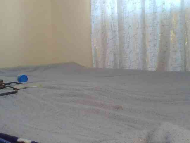 Shantell webcam