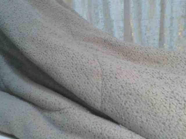 Shantell webcam