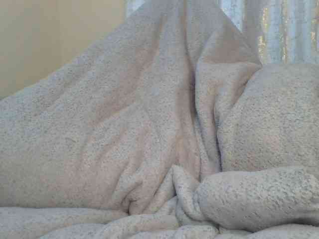 Shantell webcam