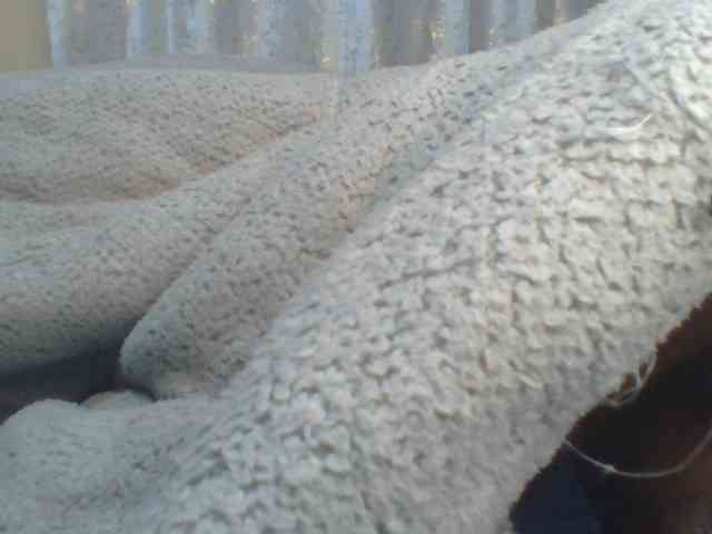 Shantell webcam