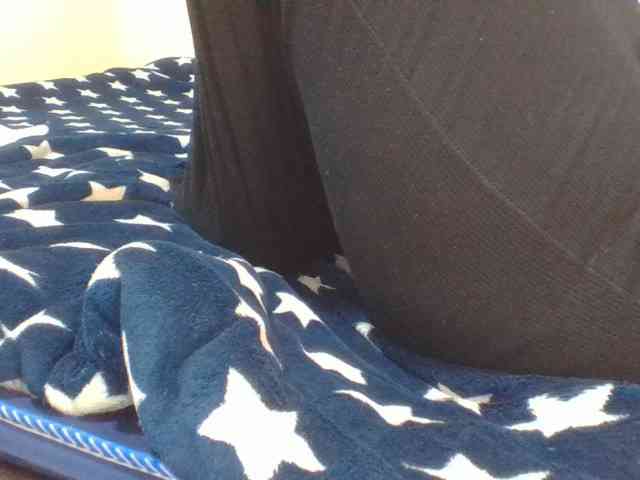 Shantell webcam