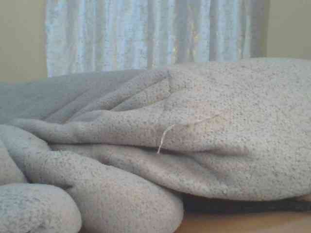 Shantell webcam