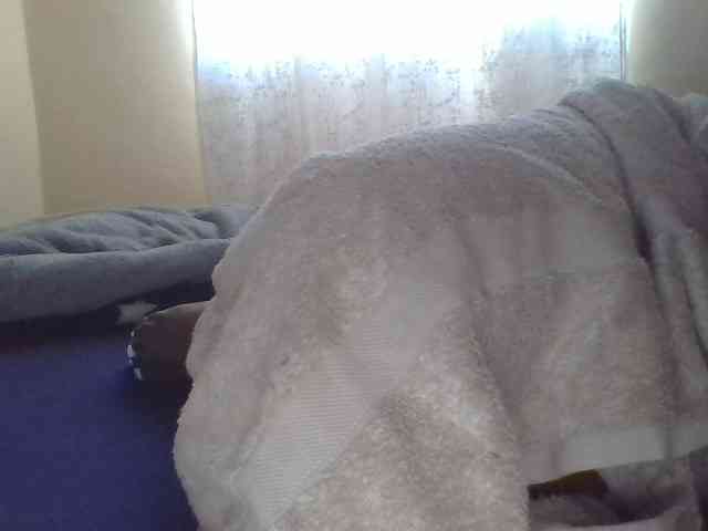 Shantell webcam