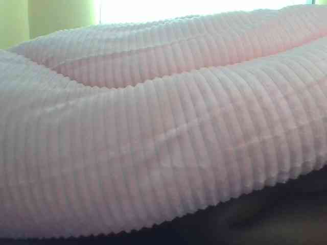 Shantell webcam