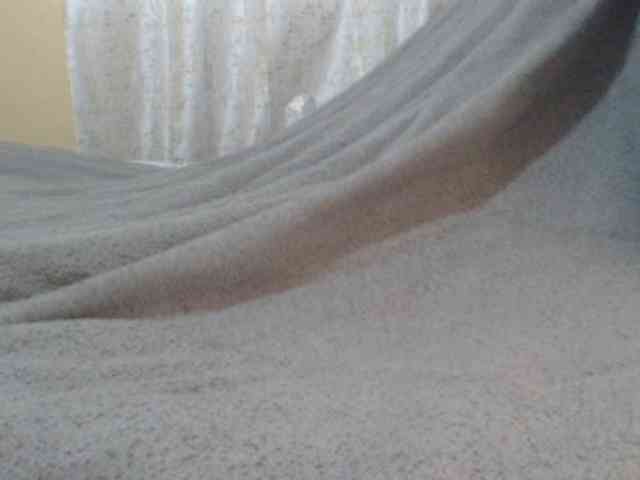 Shantell webcam