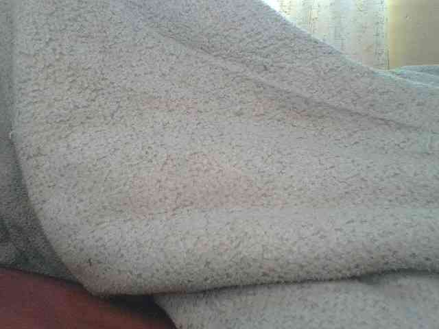 Shantell webcam