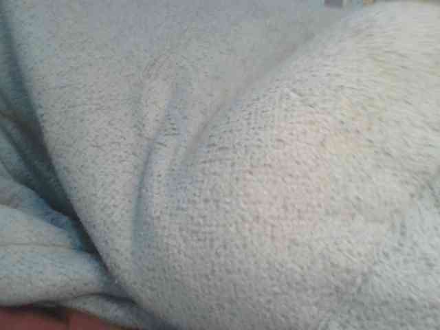 Shantell webcam