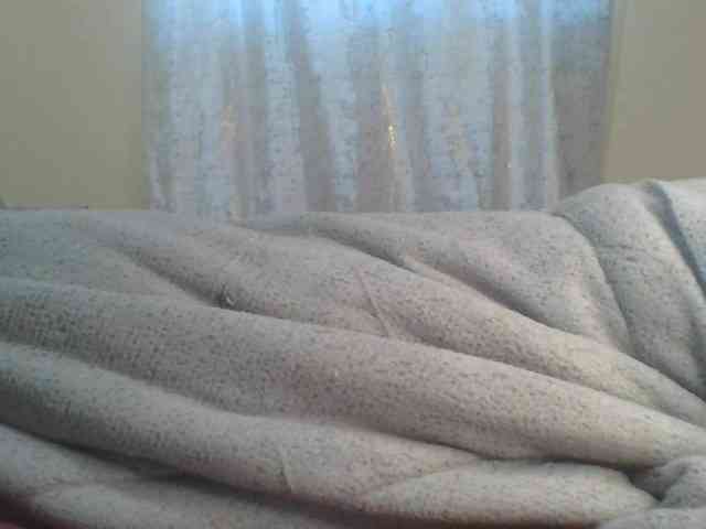 Shantell webcam