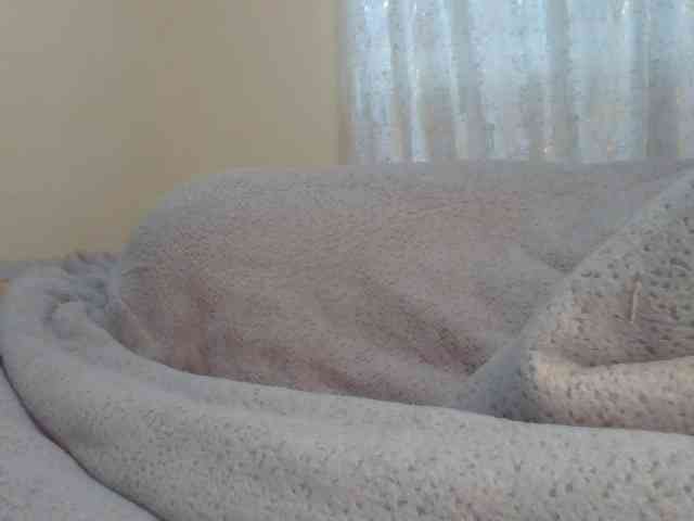 Shantell webcam
