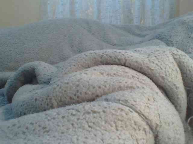 Shantell webcam