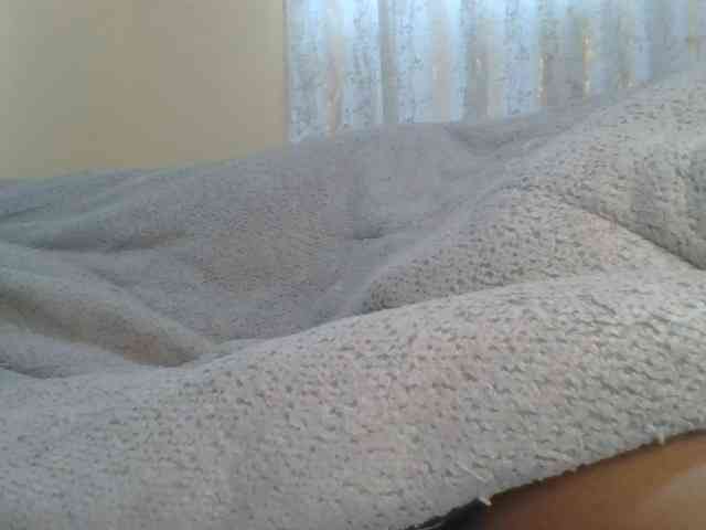Shantell webcam