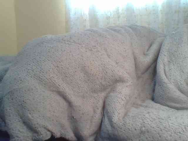 Shantell webcam
