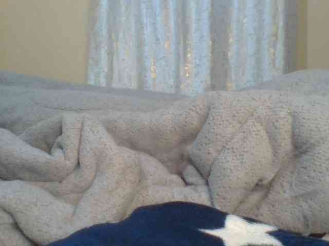 Shantell webcam