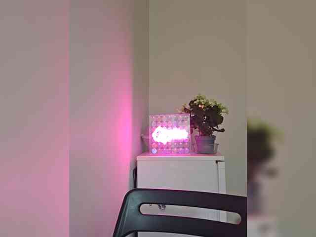 CrazyPrincess