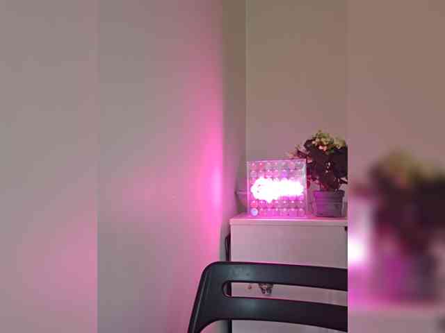 CrazyPrincess webcam