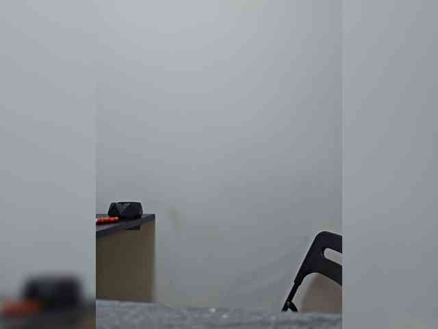 CrazyPrincess webcam