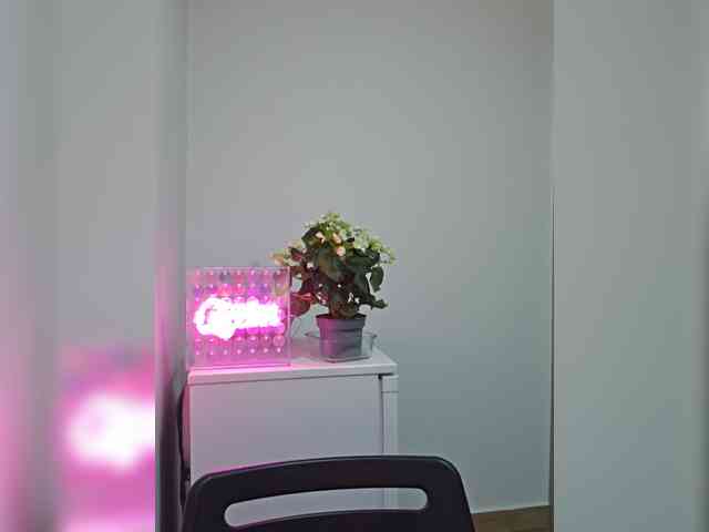 CrazyPrincess webcam