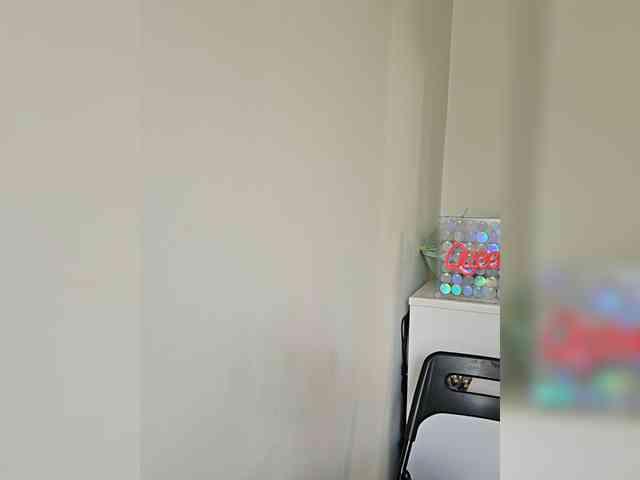 CrazyPrincess webcam