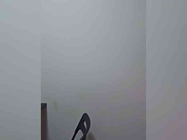 CrazyPrincess webcam