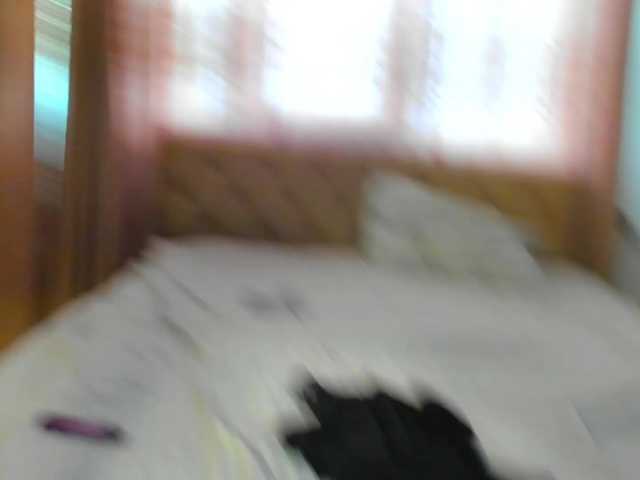 lesyalis live cam on BongaCams