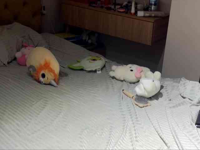 lesyalis webcam