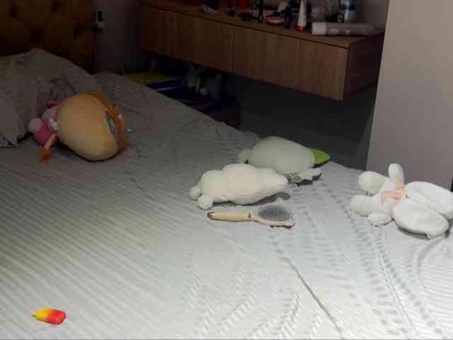 lesyalis webcam