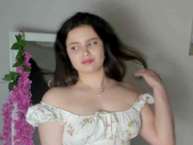 Model: rizzcaprice