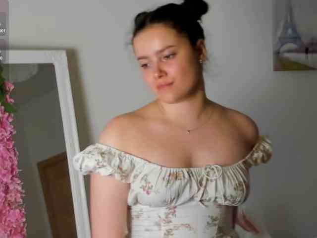 Model: rizzcaprice