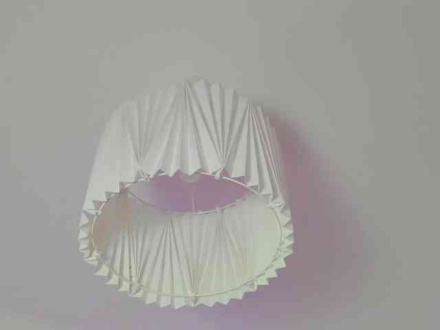rizzcaprice webcam