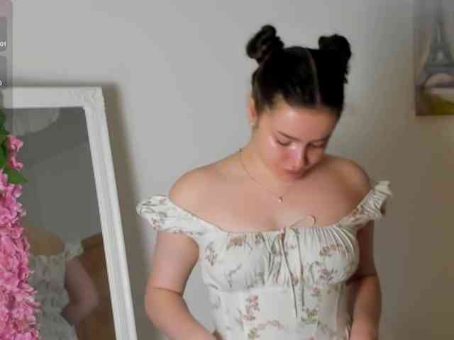 Model: rizzcaprice