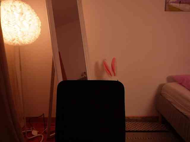 rizzcaprice webcam