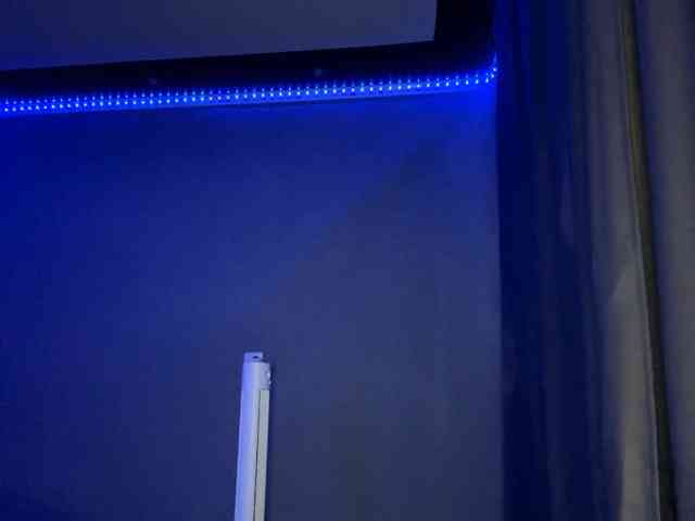 TessaDisorbo webcam