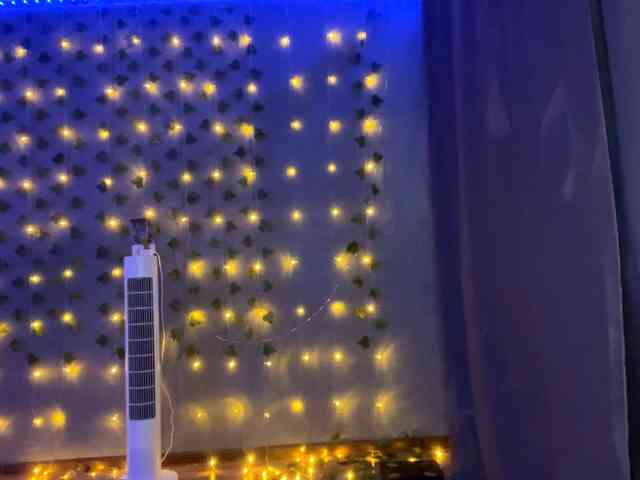 TessaDisorbo webcam