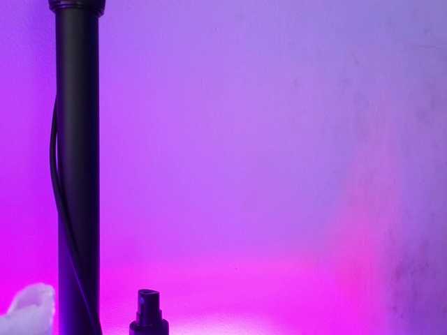 nikolwalter live cam on BongaCams