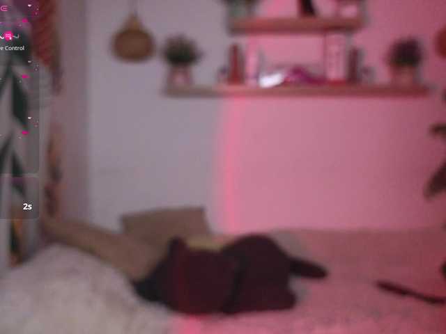 nikolwalter live cam on BongaCams