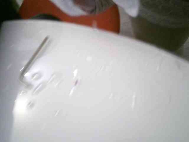 anita154678tdxzsw5tj77