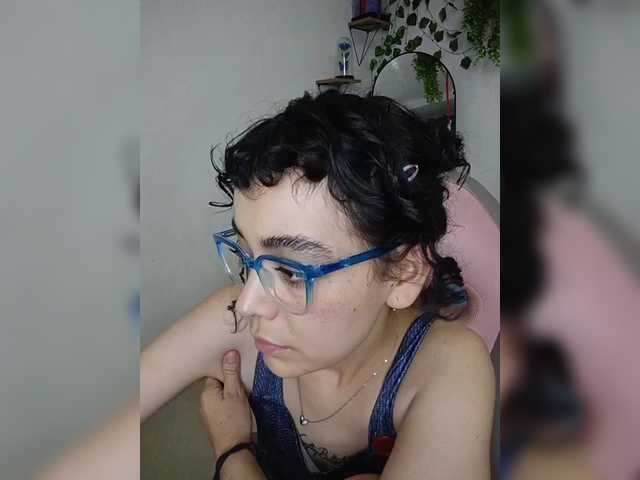 Iris-BonD Live Cam and Statistics on UnifiedCams