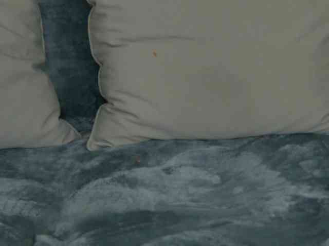 SkinnyNatty webcam