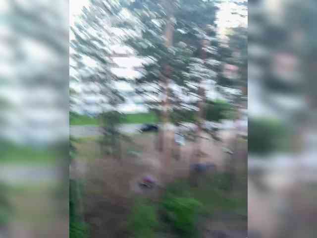 Barsi_eto_zaebis webcam