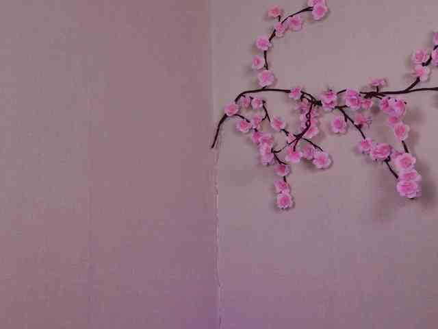 EvaMoran webcam
