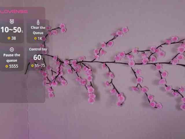 EvaMoran webcam