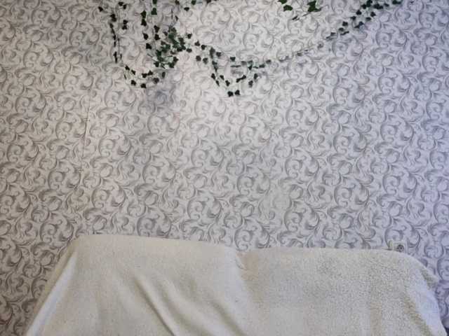 Preview of veronicabianchi