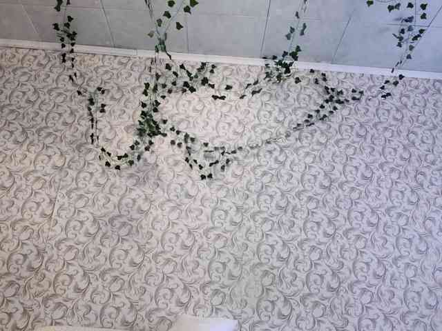 VeronicaBianchi webcam