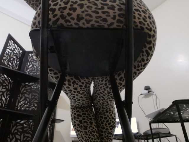 PreciousMoan live cam on BongaCams