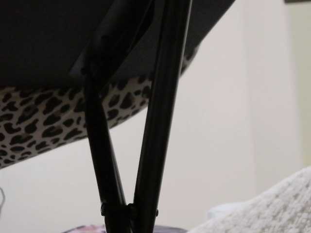 PreciousMoan's BongaCams show and profile