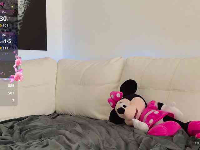 Minnie-Mouse- webcam