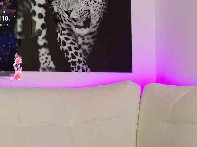 Minnie-Mouse- webcam