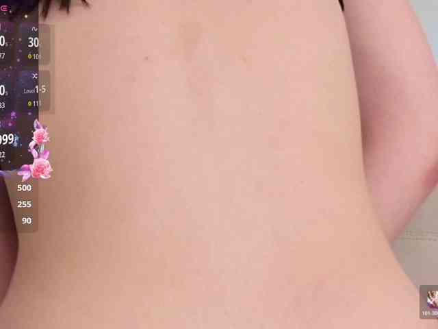 Minnie-Mouse- webcam