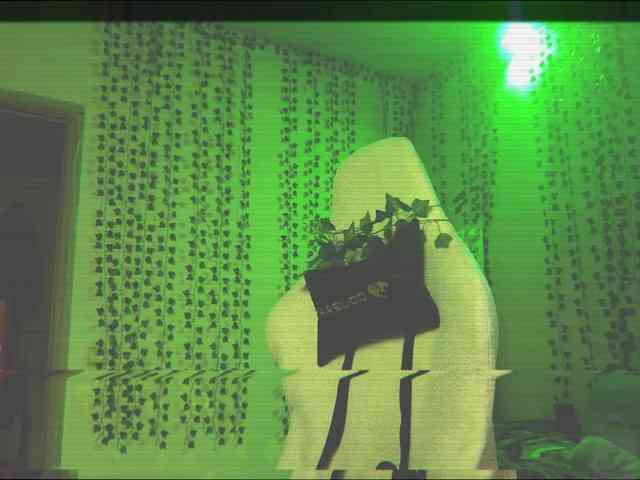 AnnaSebastian webcam