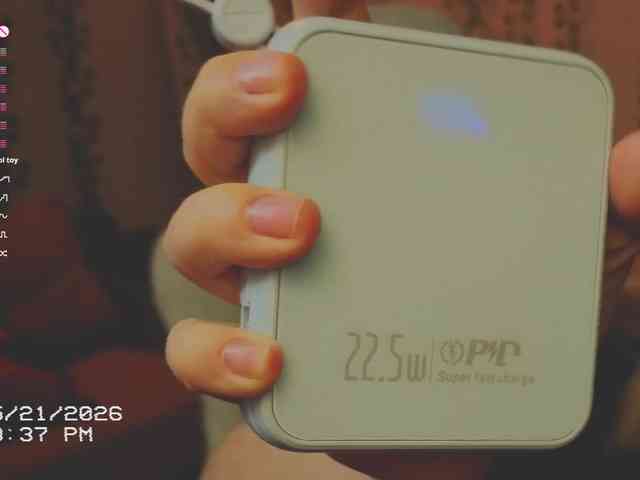 AnnaSebastian webcam